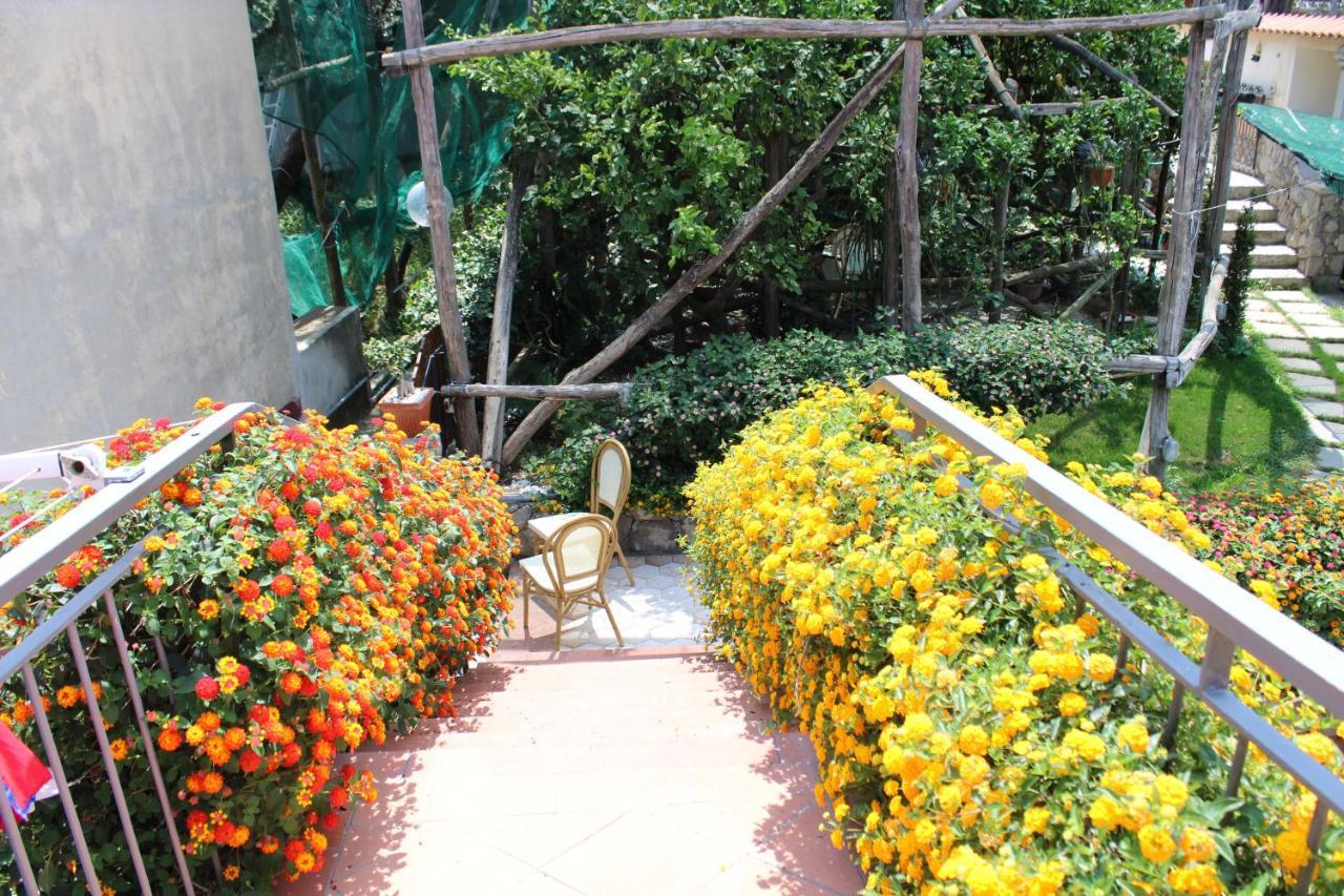 Casa Vacanze Chery Sorrento Luaran gambar
