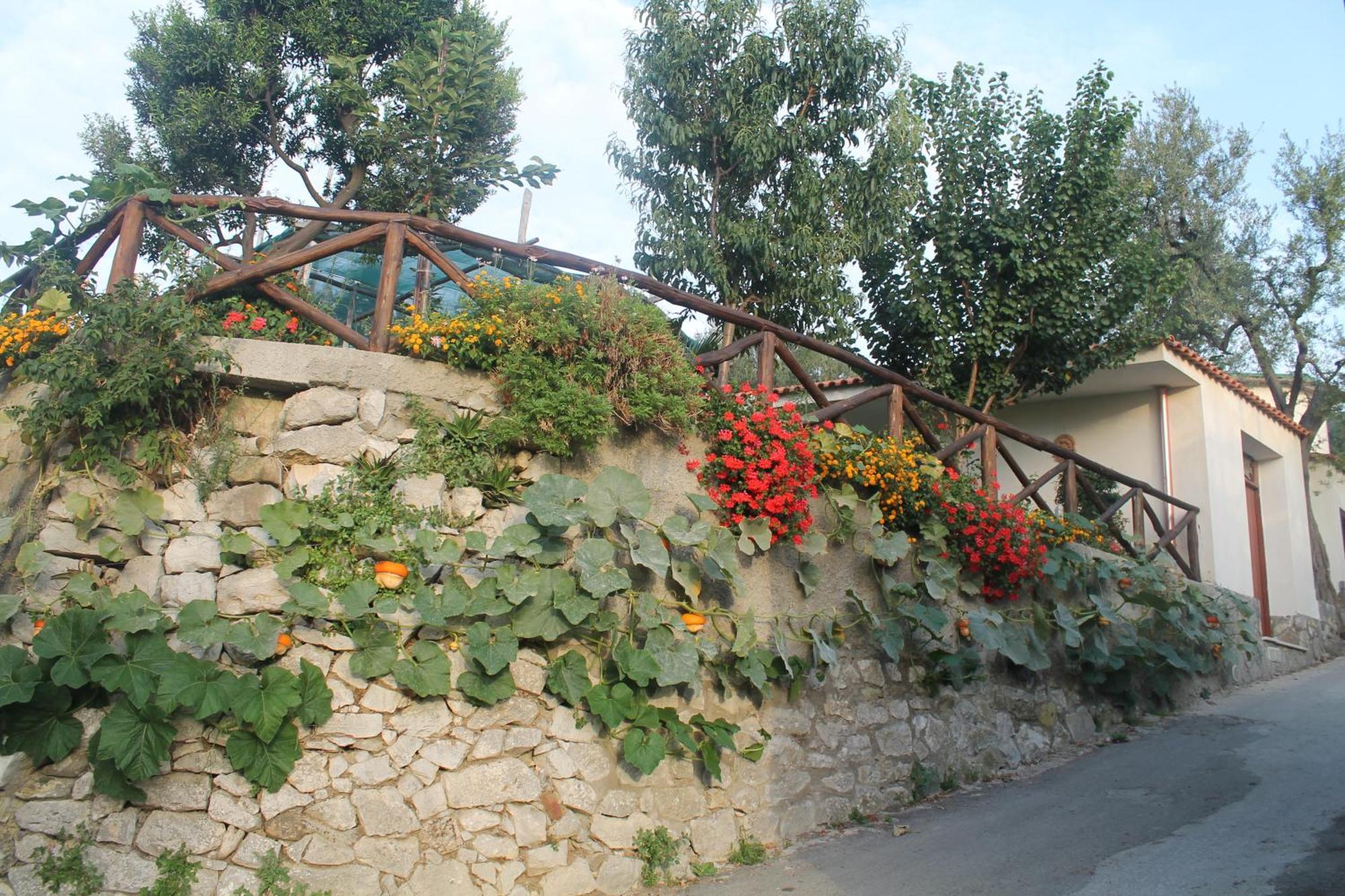 Casa Vacanze Chery Sorrento Luaran gambar