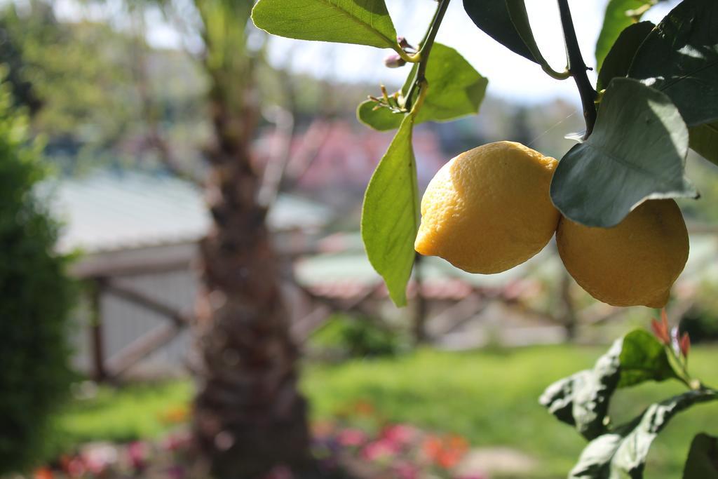 Casa Vacanze Chery Sorrento Luaran gambar